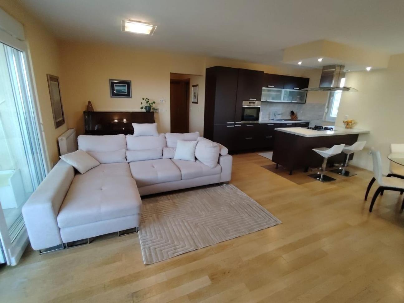 Luxury Apartment