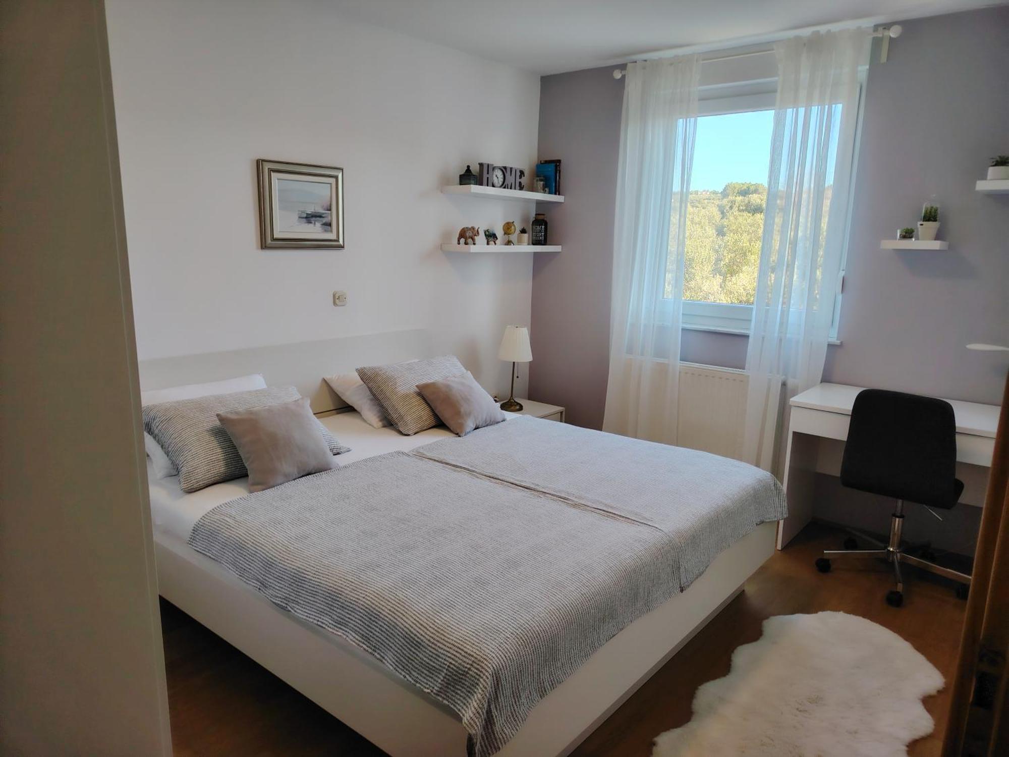 Luxury Apartment